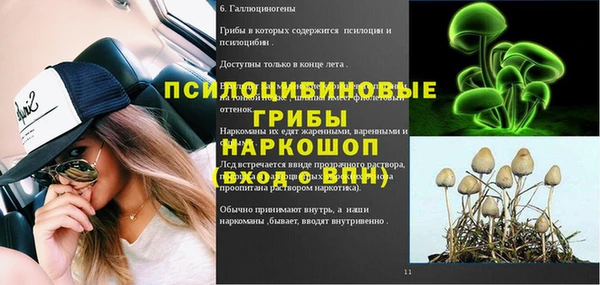 а пвп мука Алзамай